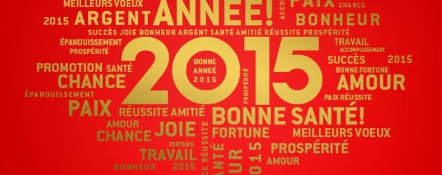 Meilleurs voeux pour la Nouvelle Année 2015 !